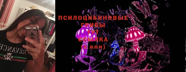 а пвп мука Абаза