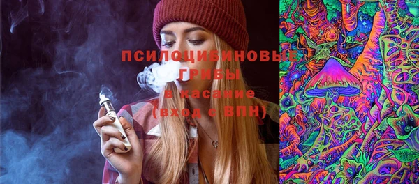 а пвп мука Абаза