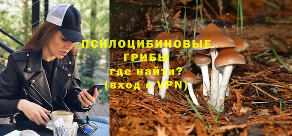 а пвп мука Абаза