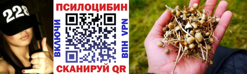 купить   Новочебоксарск  Галлюциногенные грибы мухоморы 
